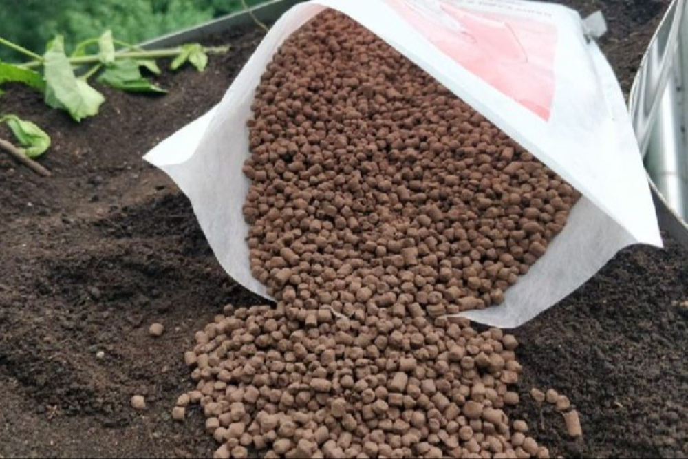 Unlocking Soil Health: The Ultimate Guide to PROM