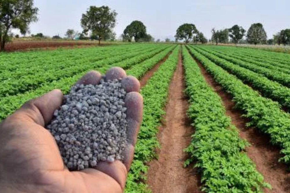 How do I make PROM using rock phosphate and compost